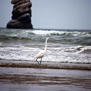 Meet your Posher, Petrina